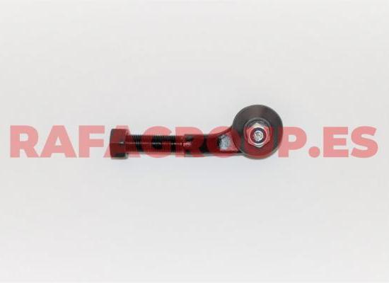 RG19341 - SPURSTANGENKOPF